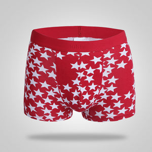 Fashion Mens Underpants Sexy Briefs Shorts Underwear BK/L